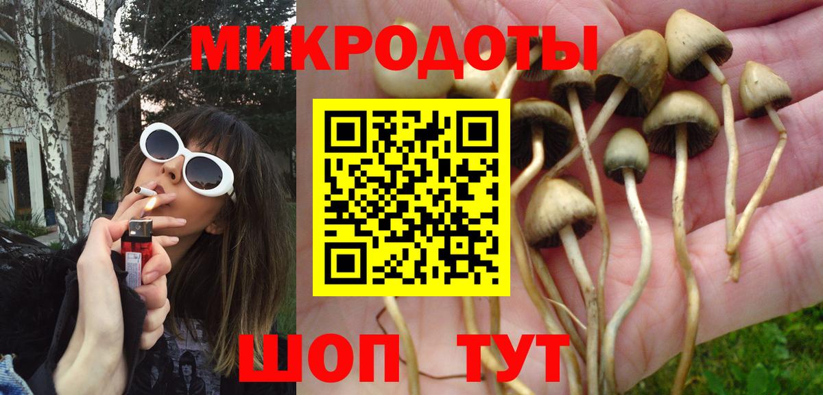 Рыбинск  Галлюциногенные грибы мицелий  Галлюциногенные грибы Psilocybe  Вход с VPN 