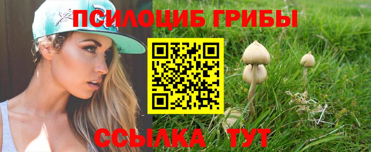 Галлюциногенные грибы MAGIC MUSHROOMS Рыбинск